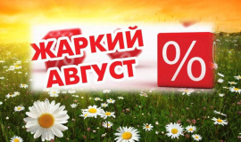 Скидка в августе на WIN TIG 230 AC-DC